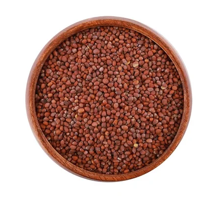 بذور الفجل