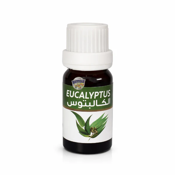 زيت الأوكالبتوس الأساسي