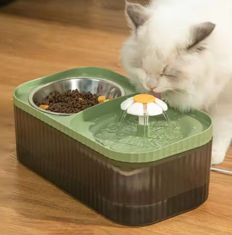 منظم الطعام الأوتوماتيكي