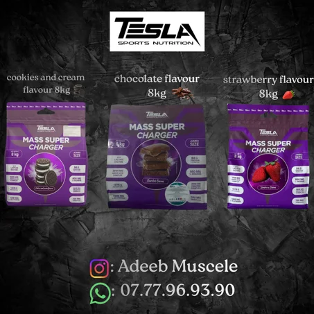 Mass Super Charger Tesla 8kg