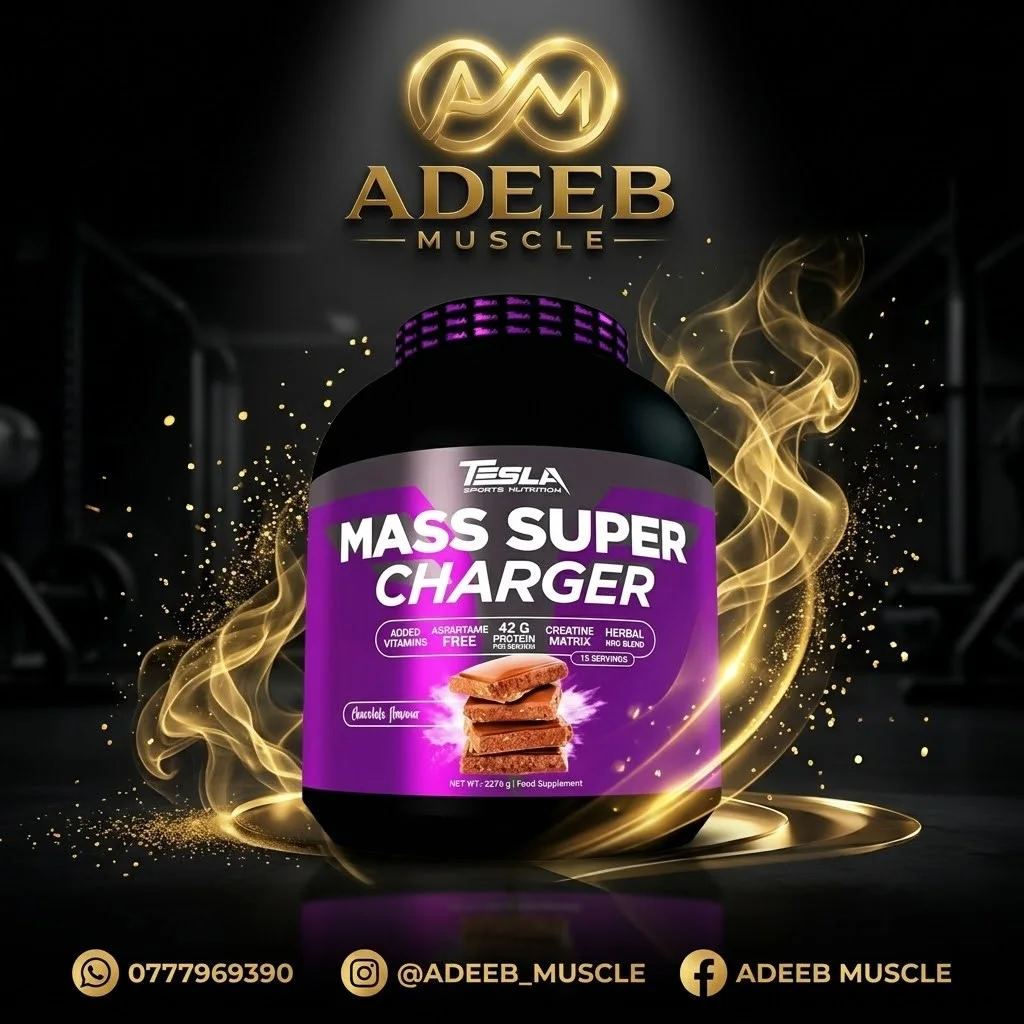 Mass Super Charger Tesla 8kg