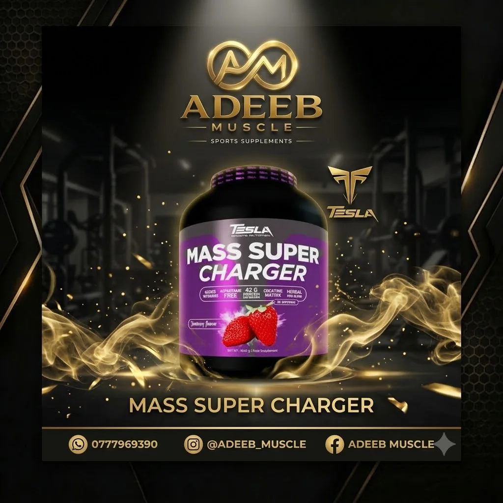 Mass Super Charger Tesla 8kg