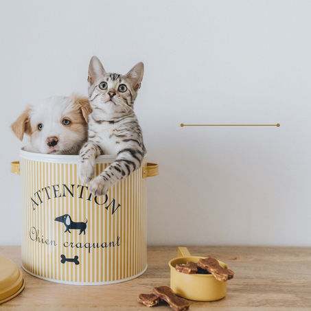 لوازم الحيوانات