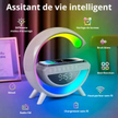 stores/52faf87738dd02d62575b6a7d437453e/products/nZOTgwswkjbCk8EpuiWvFZ1dcQdMdbrgA60F0jIo.png