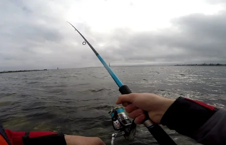 Les cannes à pêche
