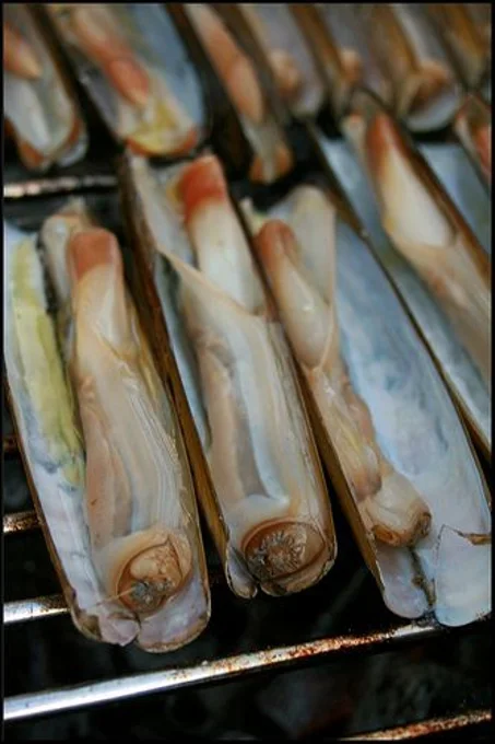 les couteaux de mer décortiquer