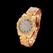 stores/5312a1c4b2495b19047645c6c1cf43ef/products/DW6Xg9tSjPrl0vAKraNPcdOOt9BjtDItwI5NFGOR.png