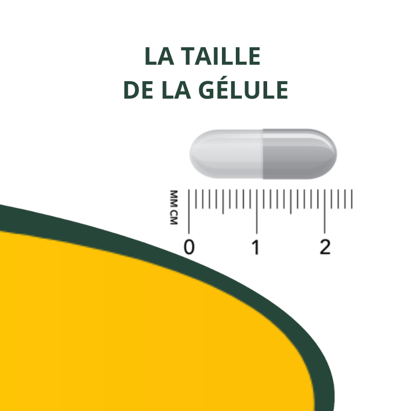 Collagène marin -30%