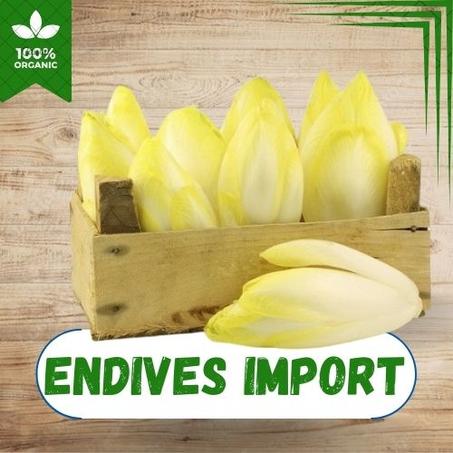 ENDIVES IMPORT AU KG
