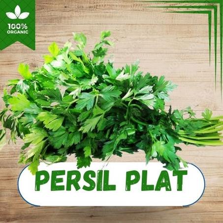 PERSIL PLAT