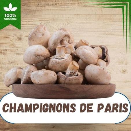 CHAMPIGNONS DE PARIS AU KG