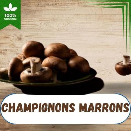 CHAMPIGNONS MARRONS