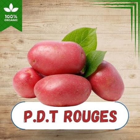 POMMES DE TERRE ROUGE AU KG