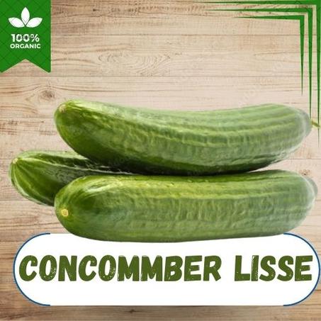 CONCOMBRE LISSE AU KG