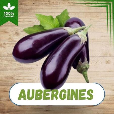 AUBERGINES AU KG