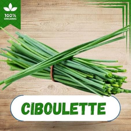 CIBOULETTE EN BOTTE