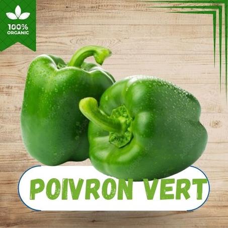 POIVRON VERT AU KG