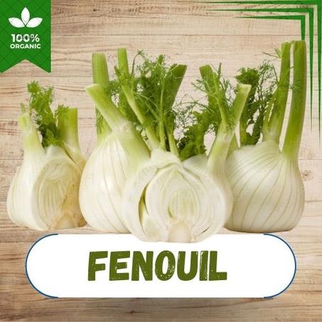 FENOUIL AU KG