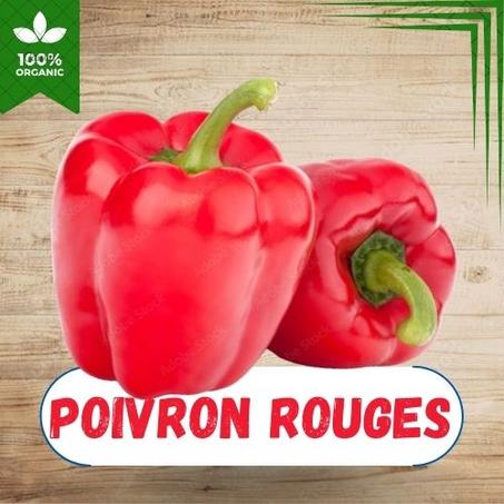 POIVRON ROUGE AU KG