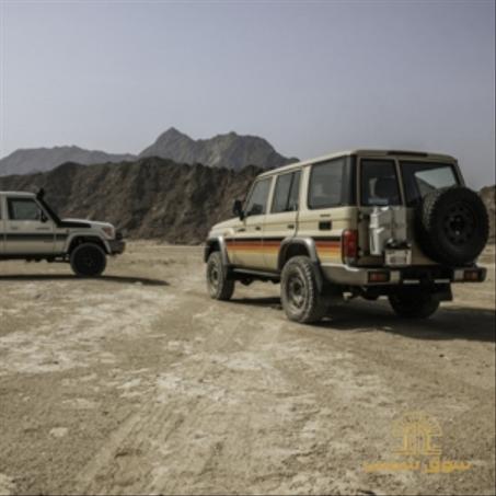 أكسسوارات السيارات الخرجية