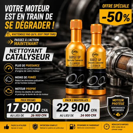 🇨🇮 Nettoyant pour convertisseur catalytique