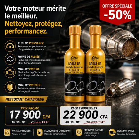 Nettoyant pour convertisseur catalytique