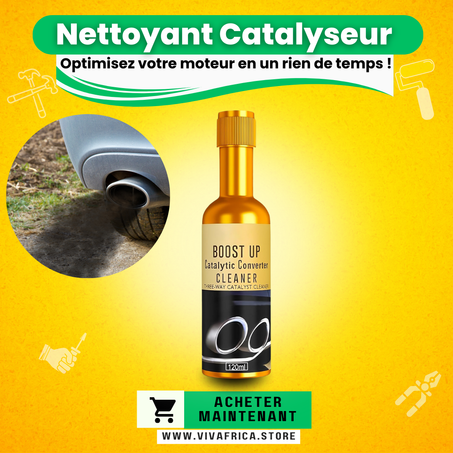 Nettoyant pour convertisseur catalytique