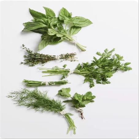 herbes الاعشاب