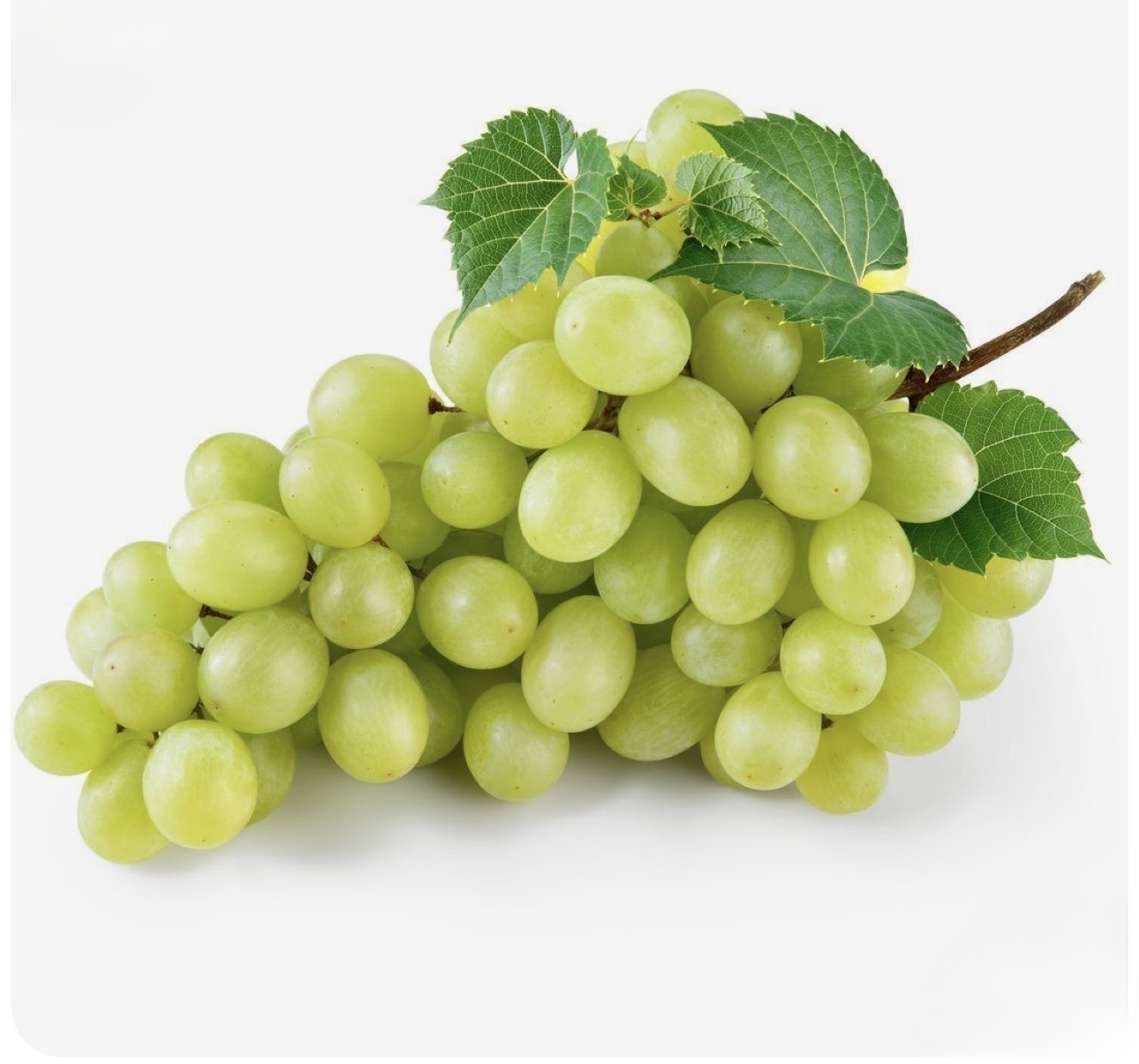 Raisin blanc – العنب الأبيض (1KG)