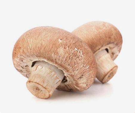 Champignon – فطر (1KG)