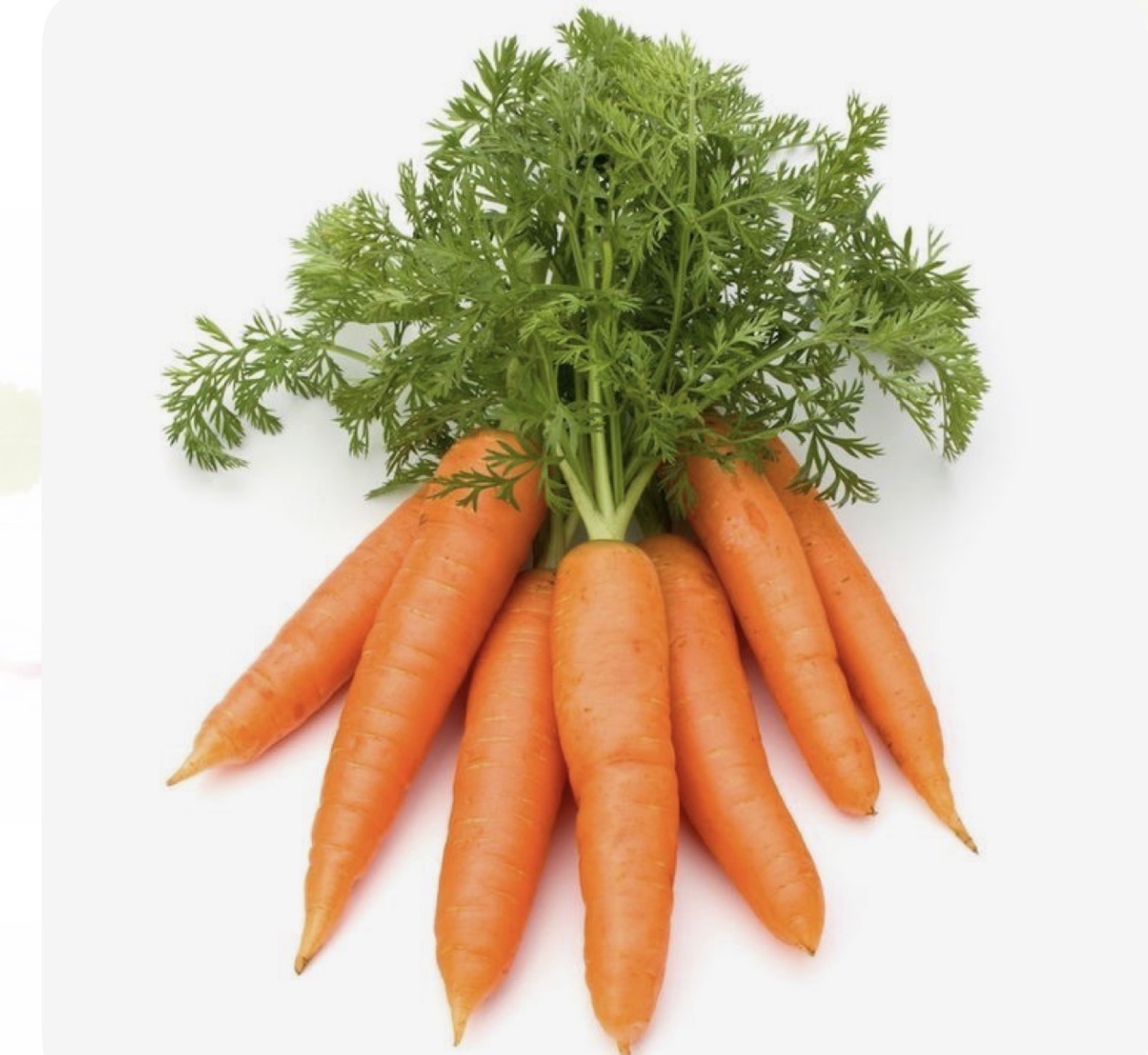 Carotte – الجزر (1kg)