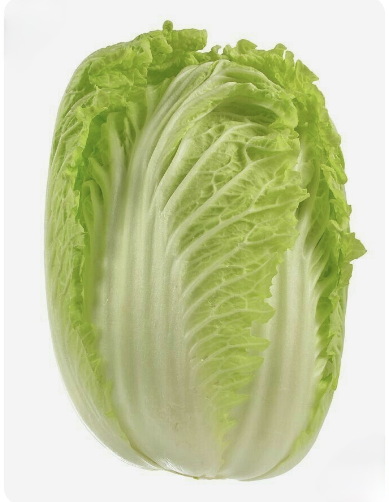 Laitue – الخس(1 pièce)