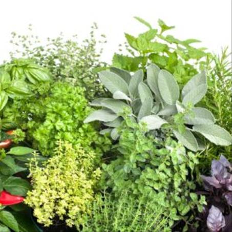 Bouquet aromatique تخالط  (1 unité)