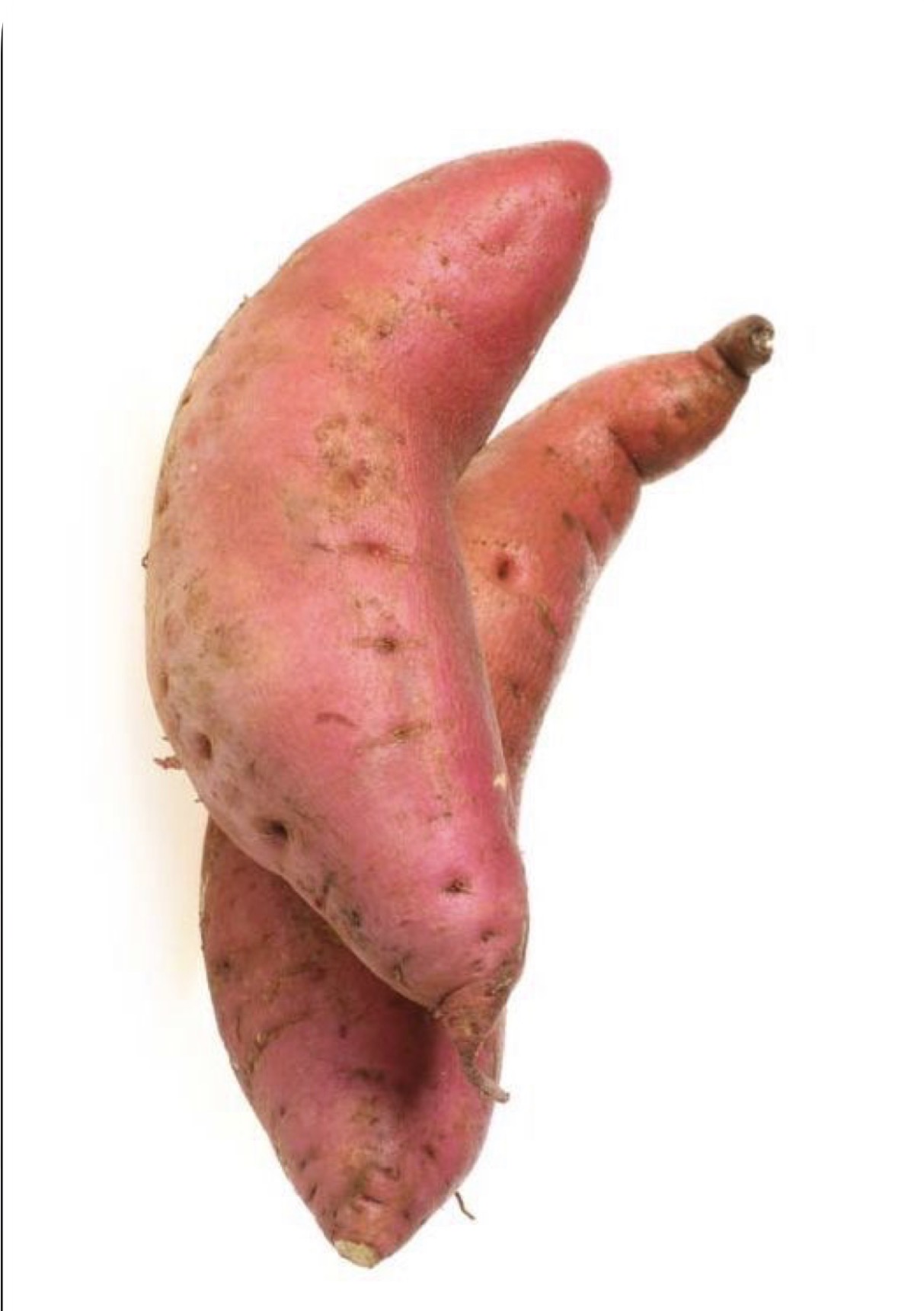 Patate douce (1kg) بطاطا حلوة