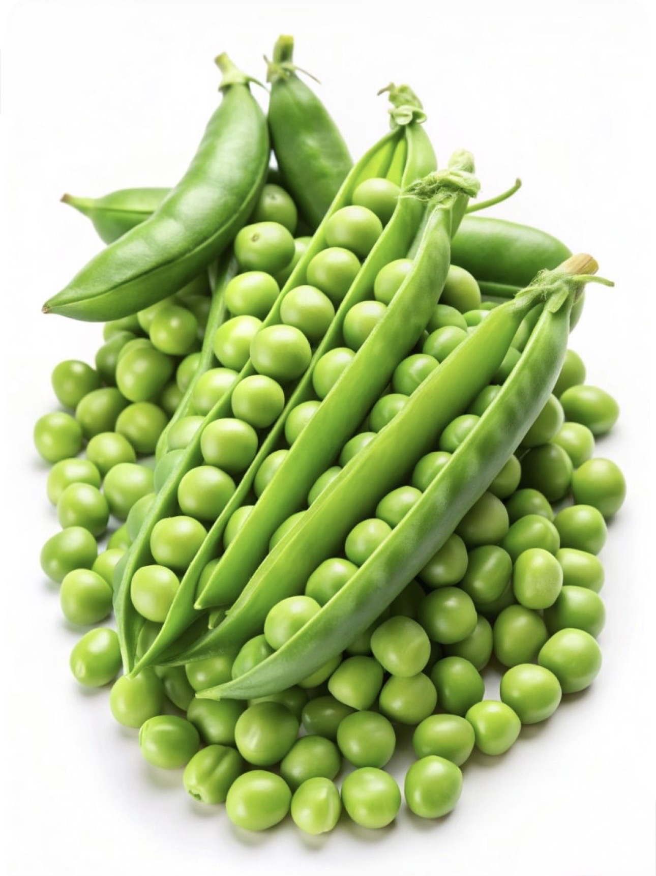 Petit pois – جلبانة (1kg)