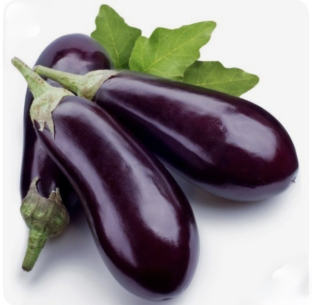 Aubergine – باذنجان (1kg)