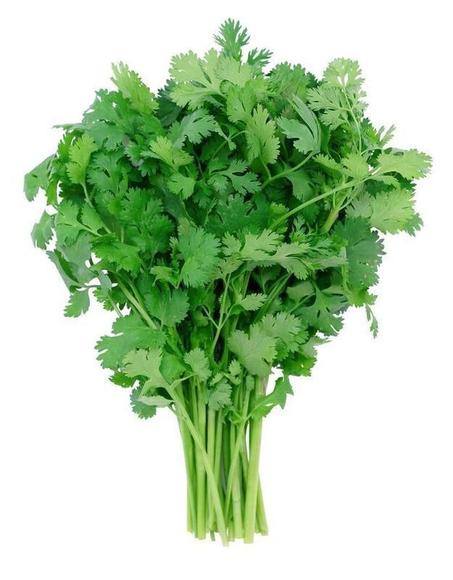 Persil -معدنوس (1unité)