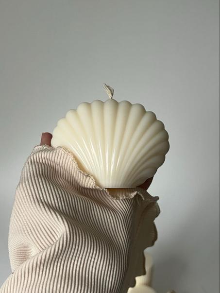 vela de concha de mar