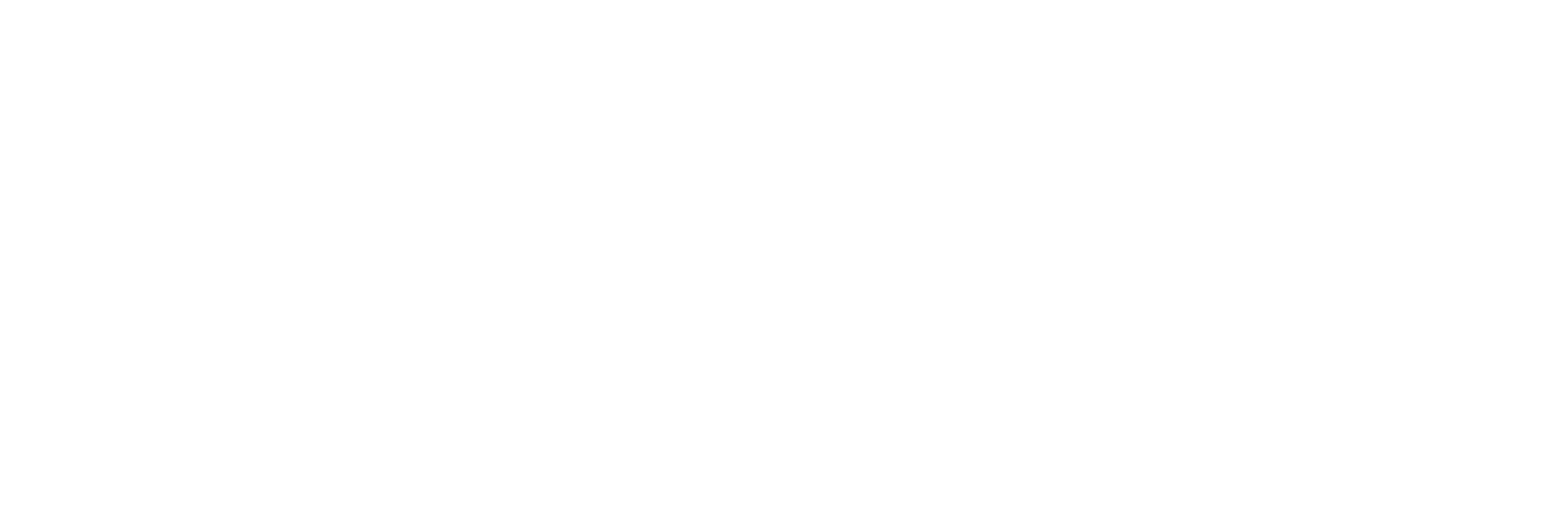 ANIZSME