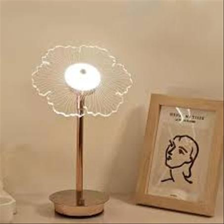 الديكور و الإضاءة