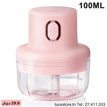 mini hachoir électrique