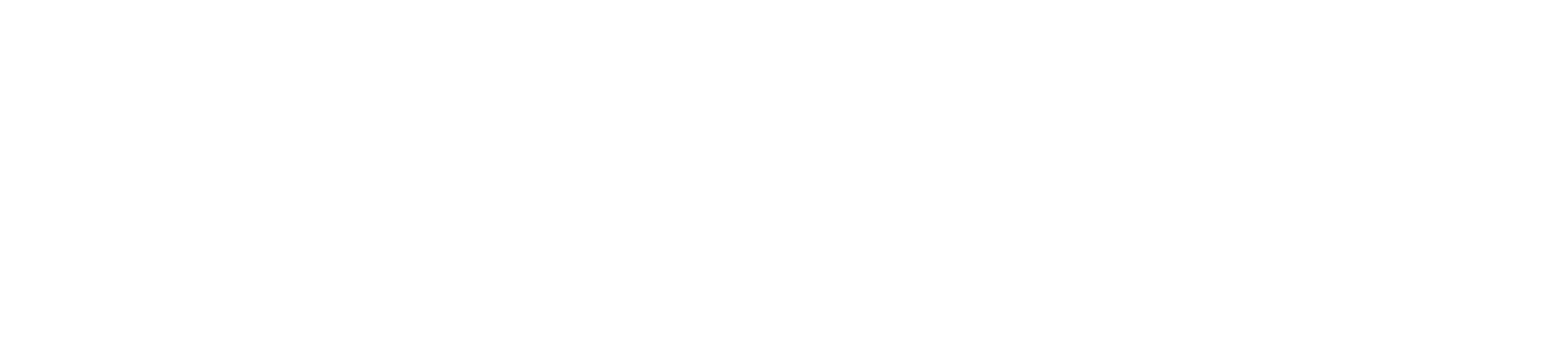 WIZI