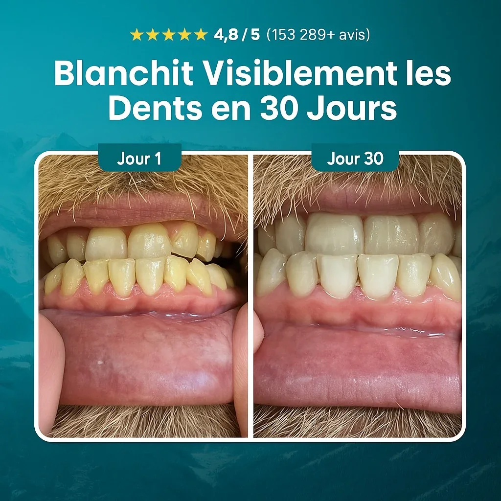 Format 18 pièces cannelle–mastic