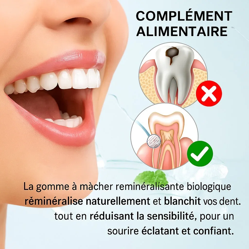 Format 18 pièces cannelle–mastic