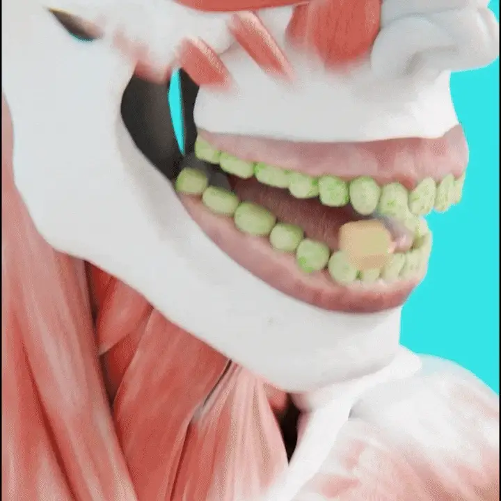 Format 18 pièces cannelle–mastic