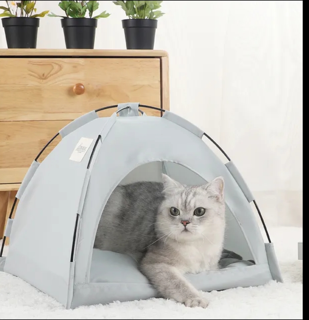 Foldable cat /dog house