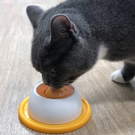 pets interactive snack bowl