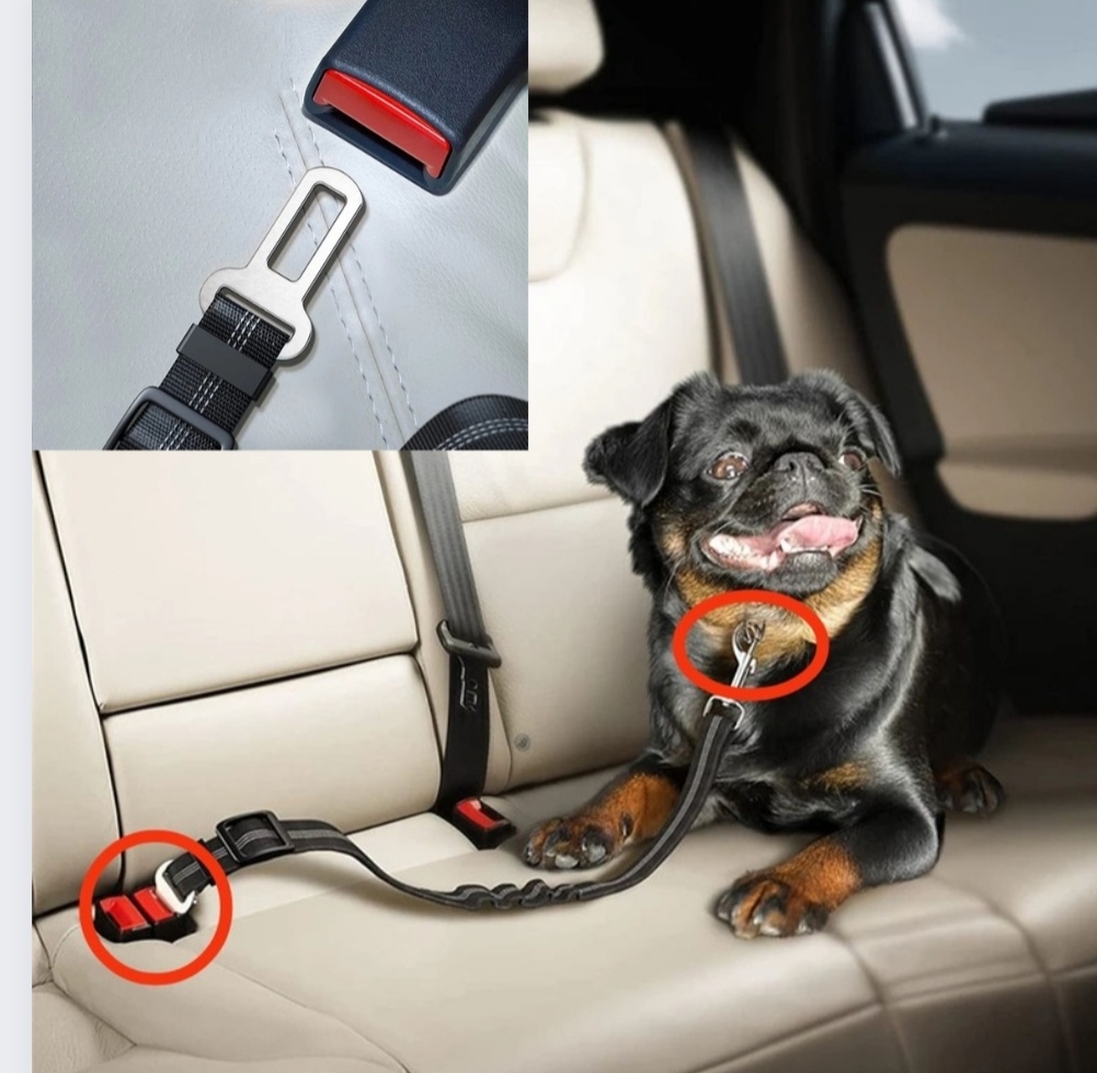 Pets protection seatbelt