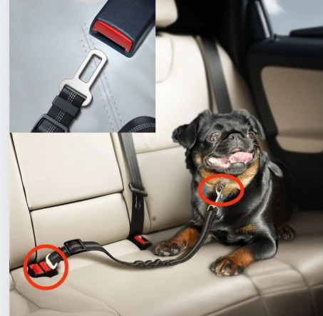 Pets protection seatbelt