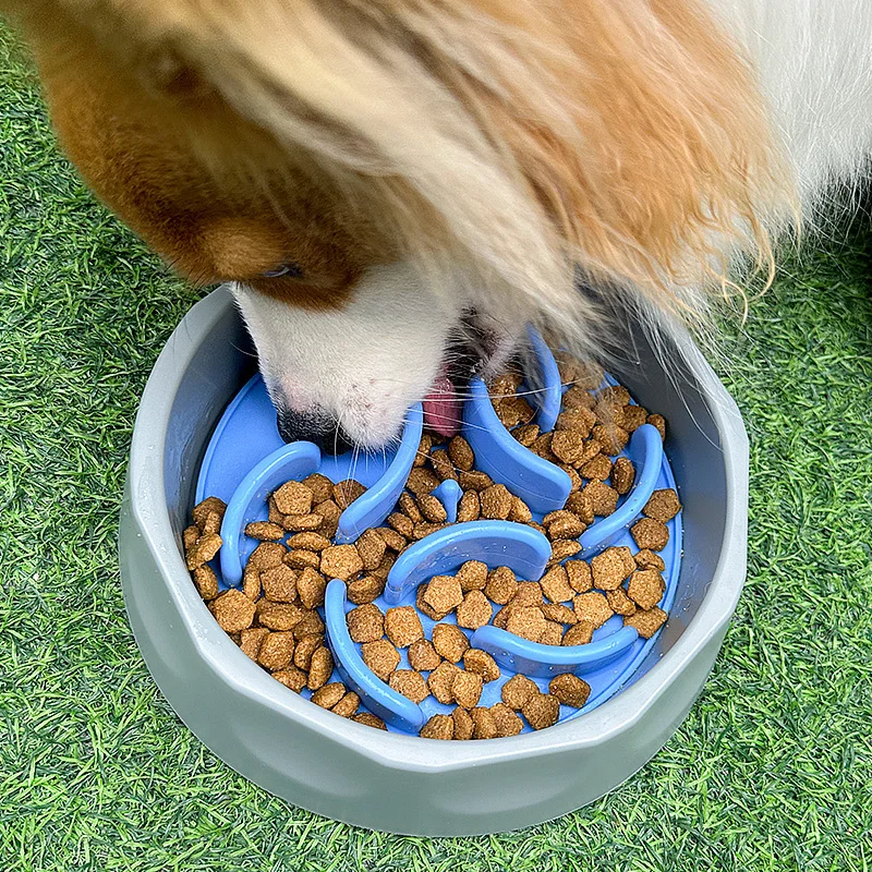 Gamelle Antiglouton 2-en-1 en Silicone – Pour Chien et Chat